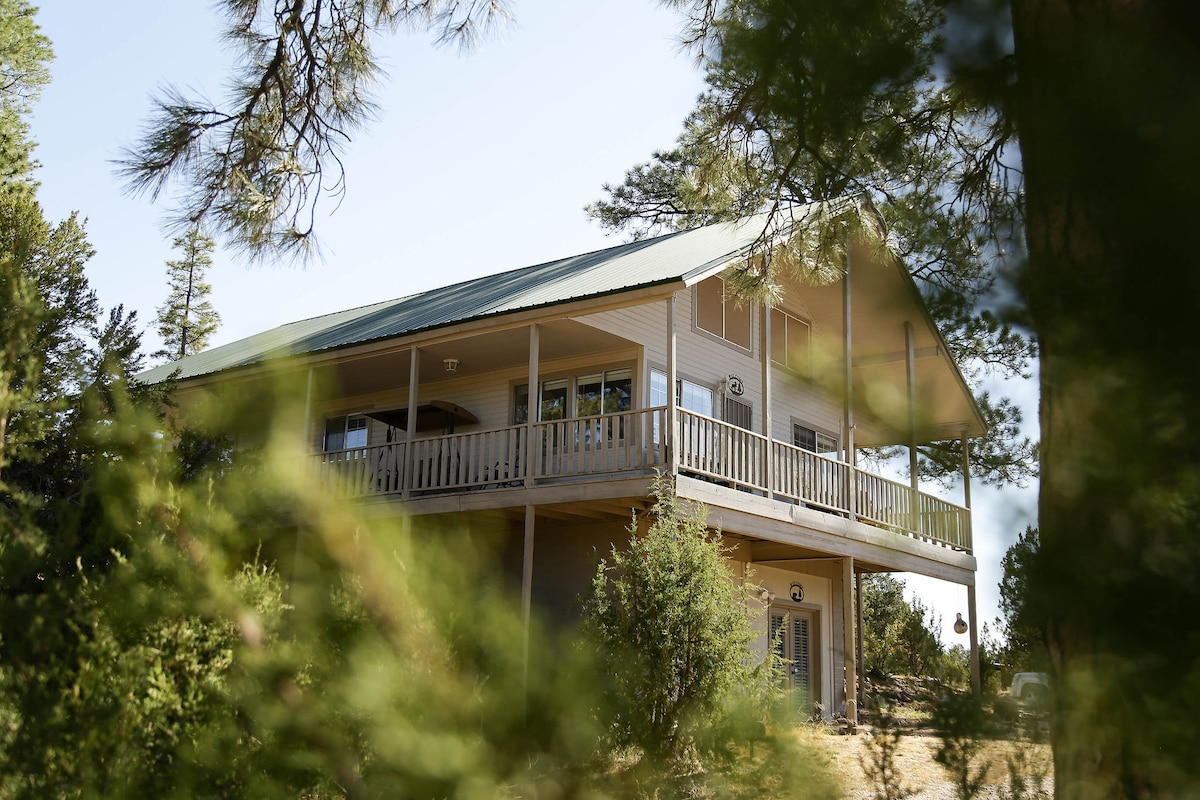 A two-story cabin is nestled among tall trees, featuring a wraparound porch that enhances its inviting exterior. Sunlight filters through the foliage, illuminating the structure's siding and metal roof.
