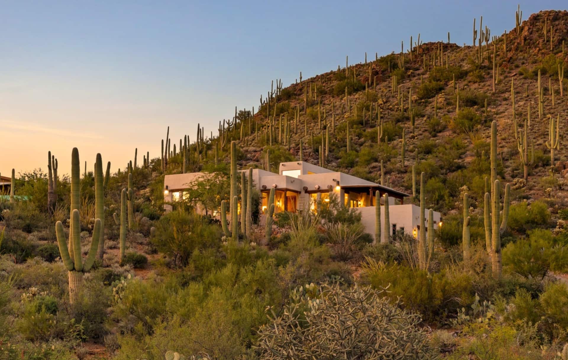 The Saguaro House