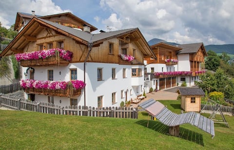 Farm vacation with alpacas & horses