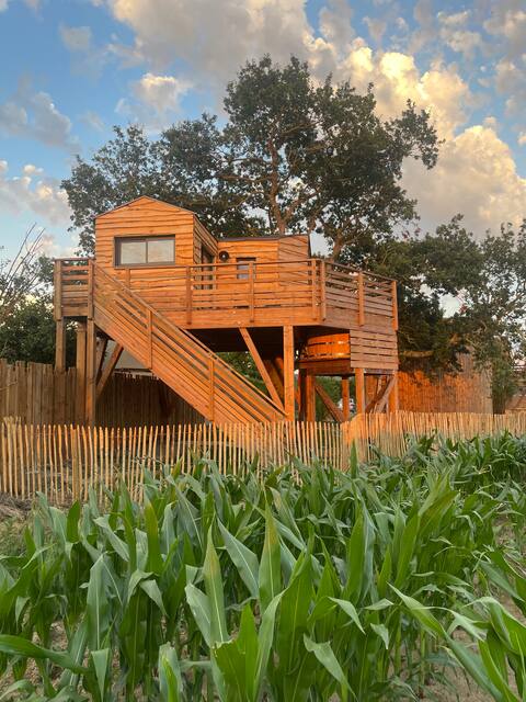Treehouse for a romantic stay