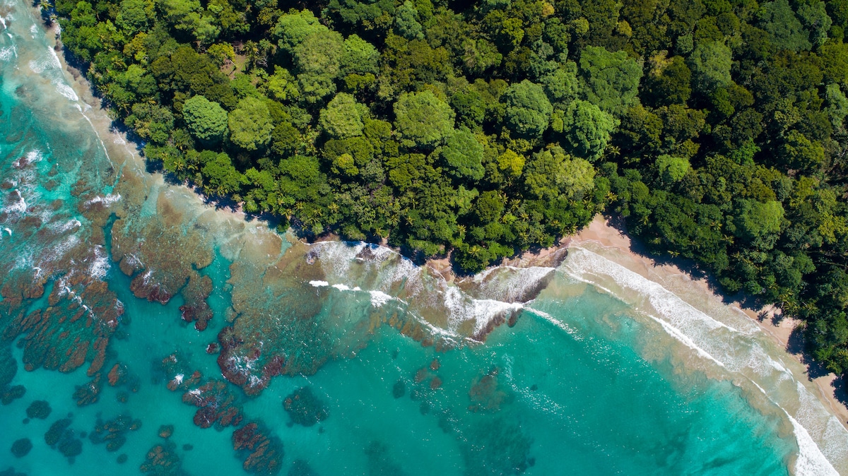 An aerial view captures a serene coastline with clear turquoise waters gently meeting a lush green forest. The shoreline features sandy areas interspersed with rocky outcrops, enhancing the natural beauty of the tropical landscape.