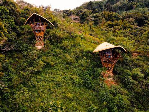 Amazing bamboo tower in the jungle (2- Tucán)