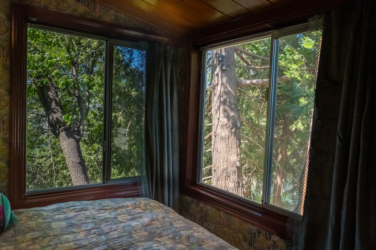 A cozy bedroom features large windows offering views of towering trees outside. Natural light filters through the curtains, accentuating the quilted bedspread. The warm wooden ceiling adds to the room's inviting aesthetic, creating a serene atmosphere for relaxation.
