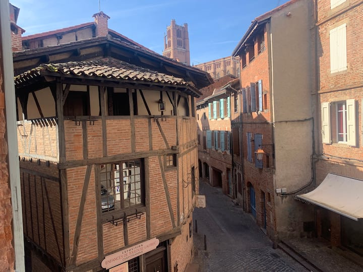 Heart of the city apartment with old Albi view