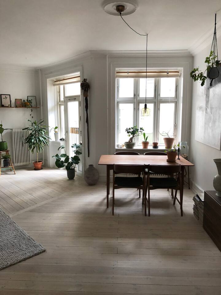 Spacious apartment in calm and hip area Condominiums for Rent in