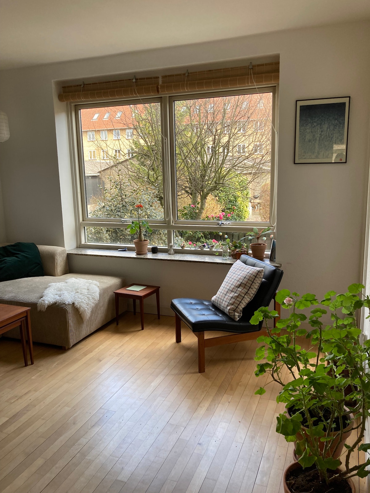 A sunlit living area features a window overlooking a garden, where greenery and flowers are visible. A black chair is positioned beside the window with a decorative pillow placed on it. A small wooden table and potted plants contribute to the inviting atmosphere.