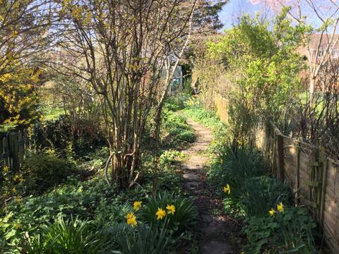 Delightful Garden Cottage, Holt, Bradford on Avon