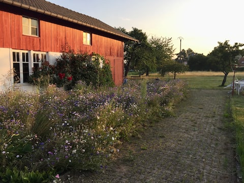 LA MARÉLIE - Warm cottage in the countryside