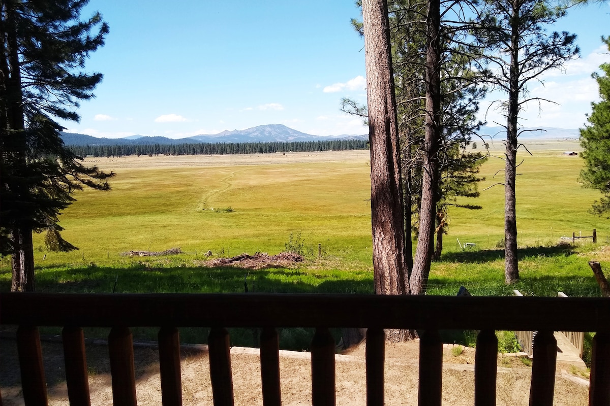 A serene view of a vast meadow is captured, bordered by tall pine trees. The open landscape extends toward distant mountains under a clear blue sky, offering a tranquil connection to the surrounding nature.