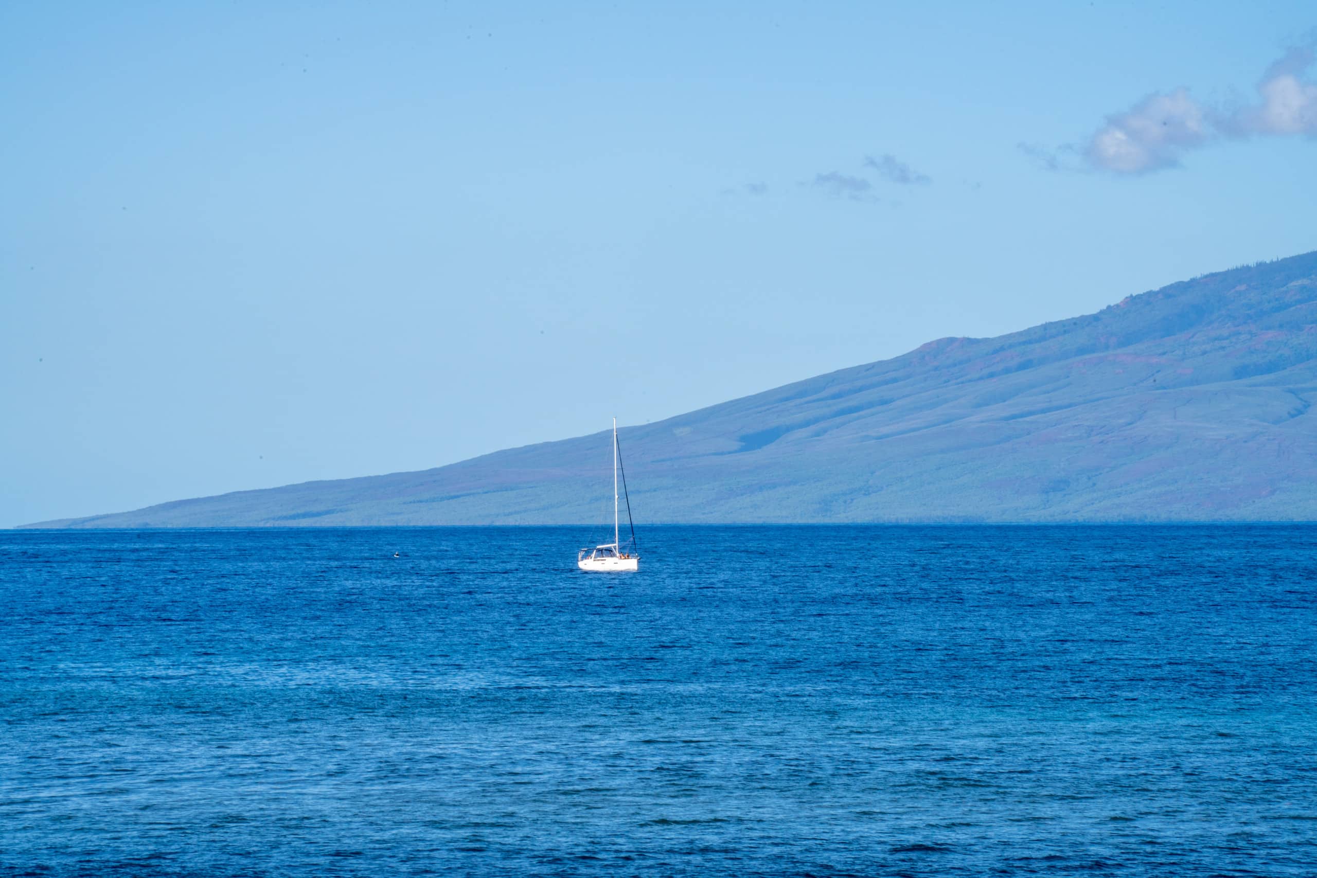 Condo in Lahaina · ★4.93 · Studio · 2 beds · 1 bath - Image 15
