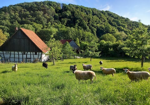 Half-timbered vacation home in the green Weserbergland