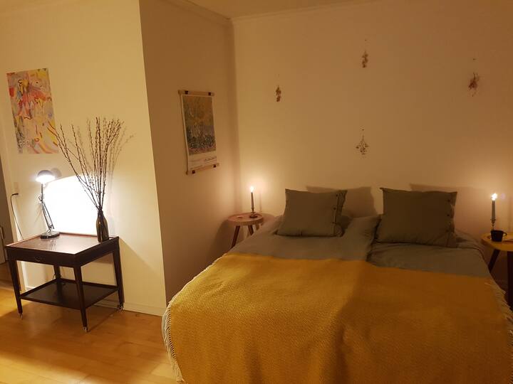 Beautiful apartment 75m2 Apartments for Rent in Frederiksberg, Denmark Airbnb