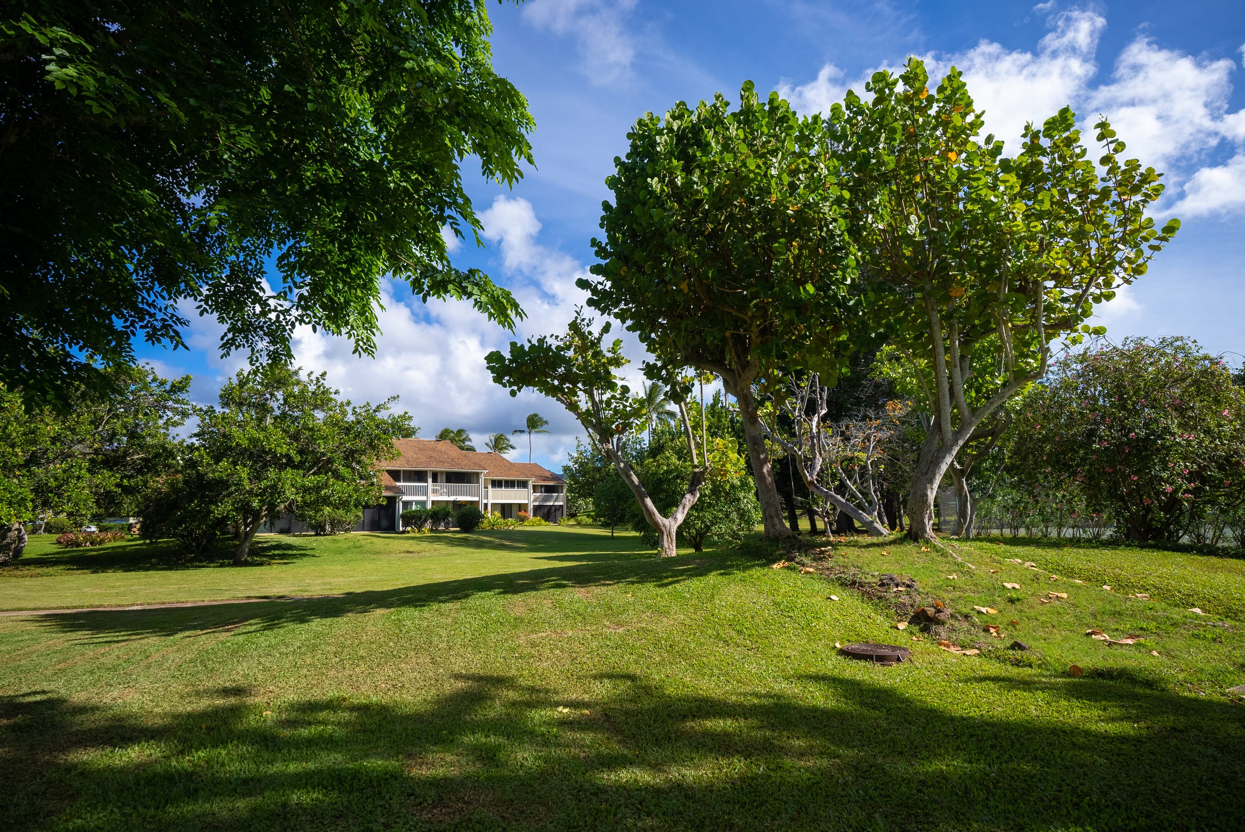 Condo in Kahuku · ★4.91 · 1 bedroom · 2 beds · 1 private bath - Image 24