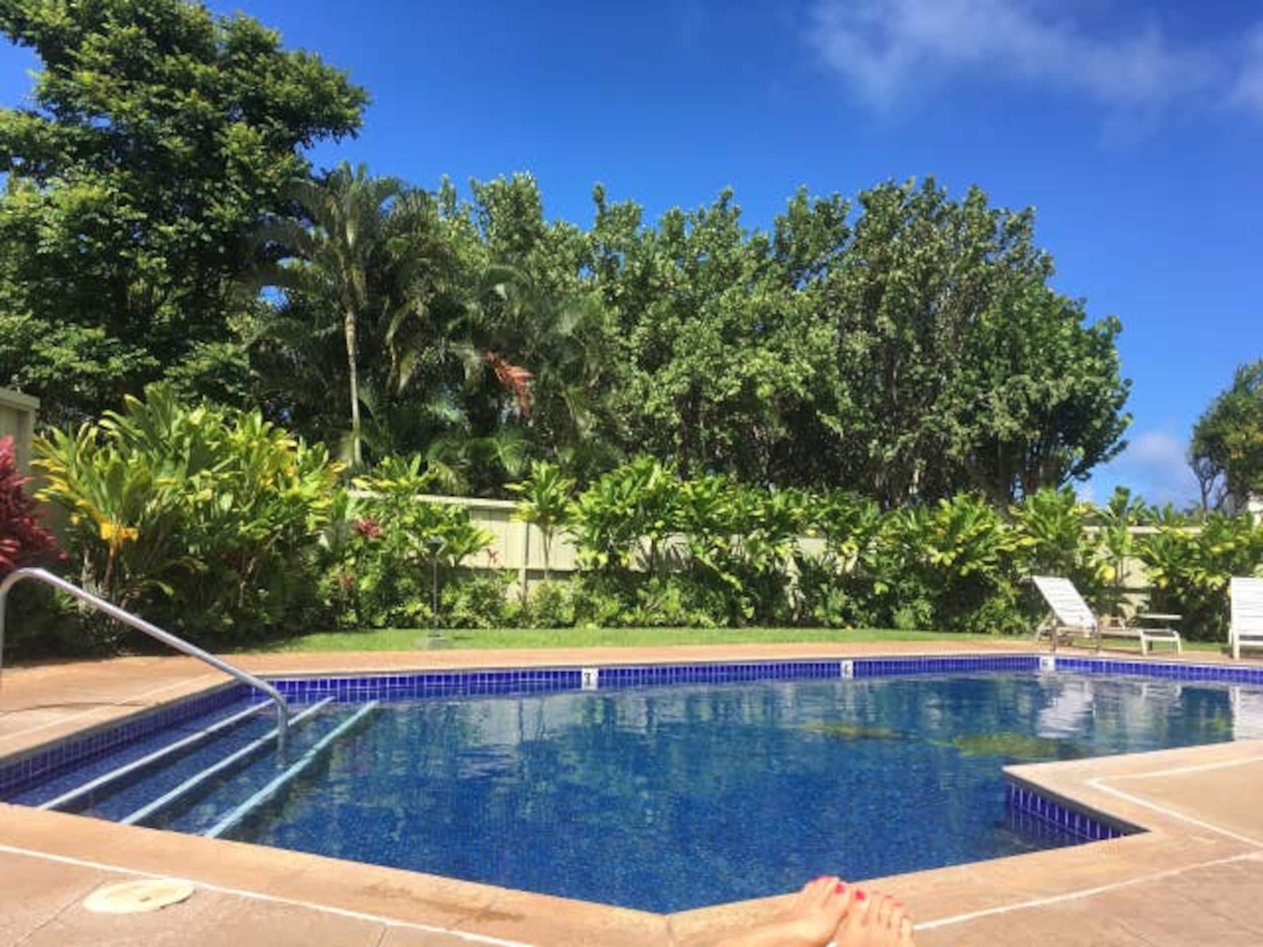 Condo in Kahuku · ★4.91 · 1 bedroom · 2 beds · 1 private bath - Image 21