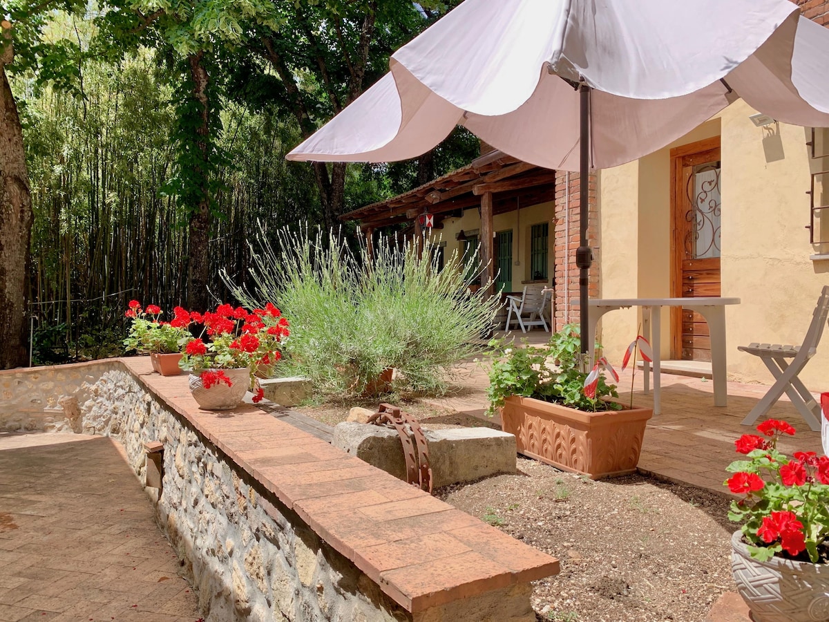 A shaded outdoor area features a large umbrella providing protection from the sun. Flowering red geraniums and lavender plants are arranged in pots along a stone border. A wooden table and chair are positioned nearby, inviting guests to enjoy the natural surroundings.