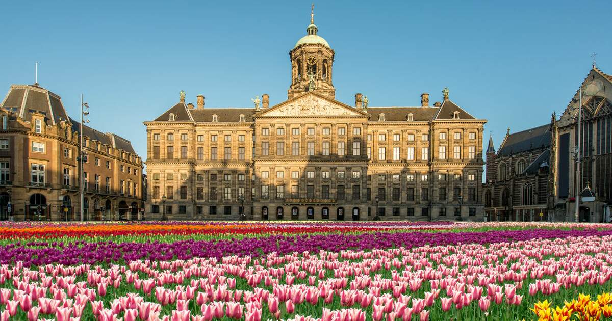 A panoramic view showcases a historic building with a grand dome, framed by a vibrant field of blooming tulips in various colors. The clear blue sky enhances the scene, highlighting the architectural details and surrounding area.