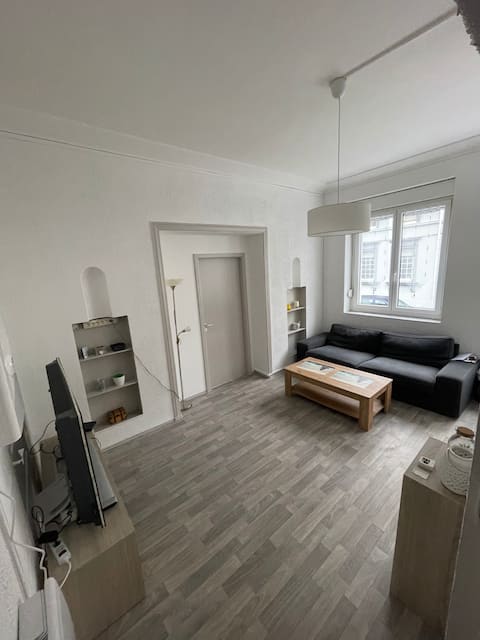 Beautiful renovated apartment in the center of Forbach