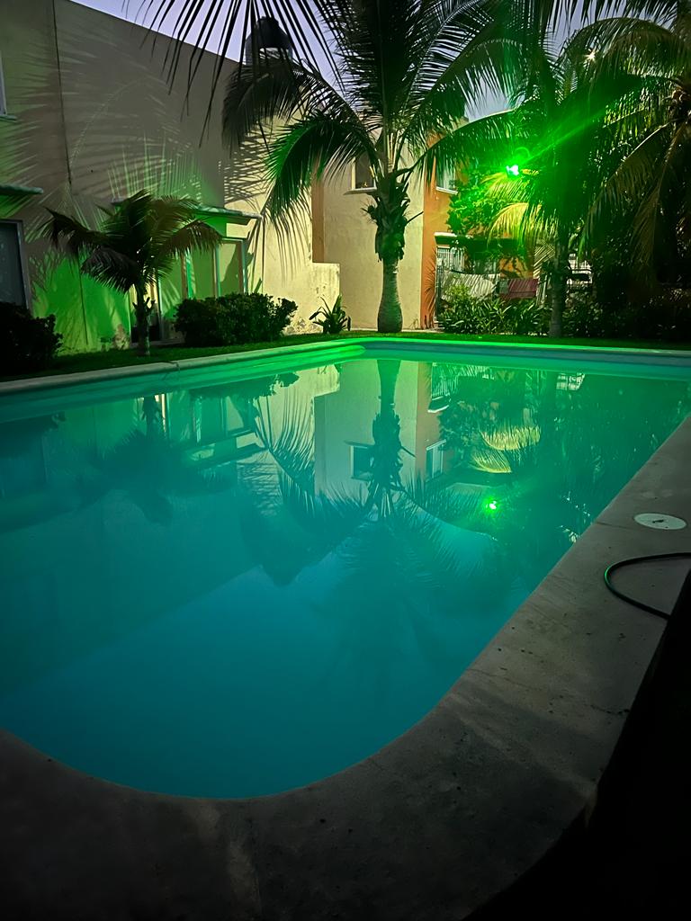 A serene swimming pool reflects the surrounding palm trees and buildings, creating a calm and inviting ambiance. Soft green lights illuminate the area, enhancing the tranquil atmosphere of the space during dusk.