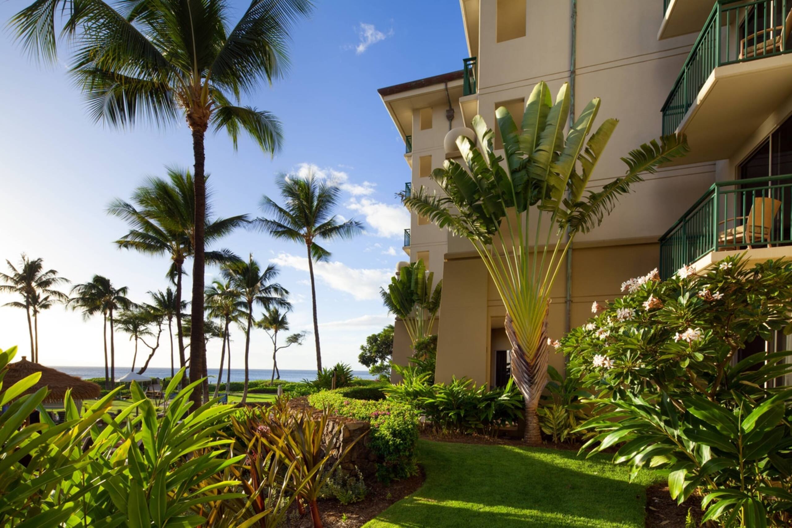 Condo in Lahaina · ★4.67 · 2 bedrooms · 4 beds · 2 baths - Image 61