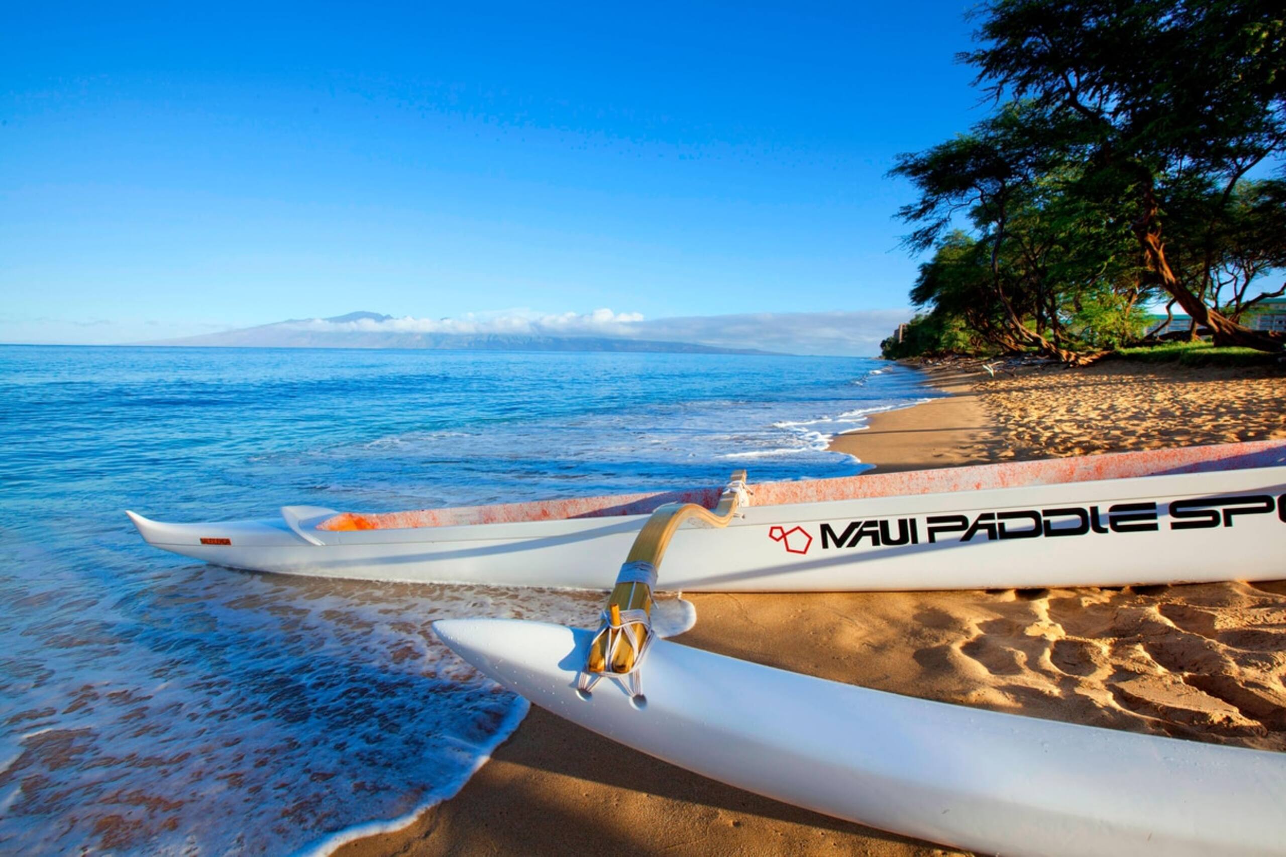 Condo in Lahaina · ★4.67 · 2 bedrooms · 4 beds · 2 baths - Image 31