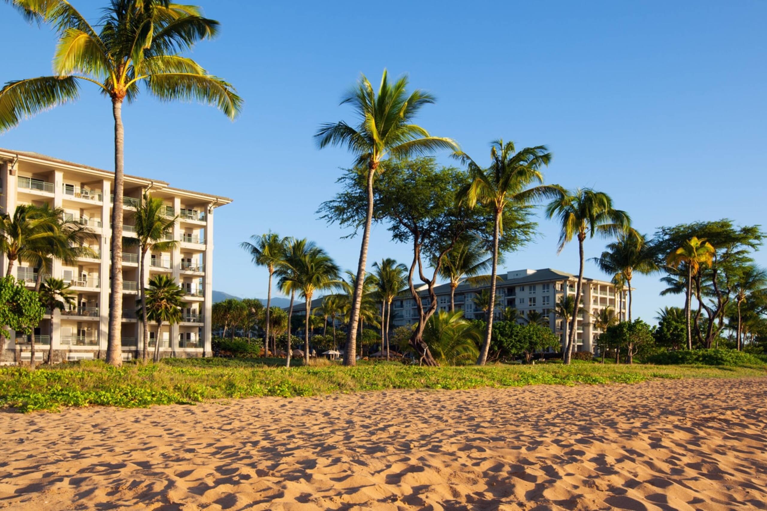 Condo in Lahaina · ★4.67 · 2 bedrooms · 4 beds · 2 baths - Image 3