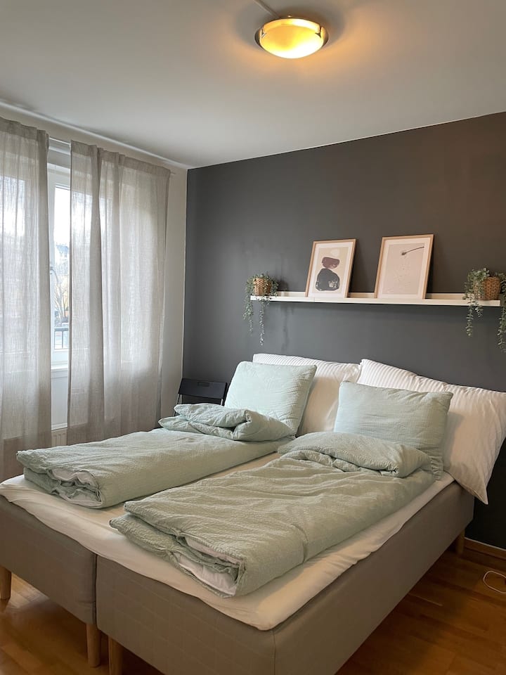 غرفة النوم الرئيسية 