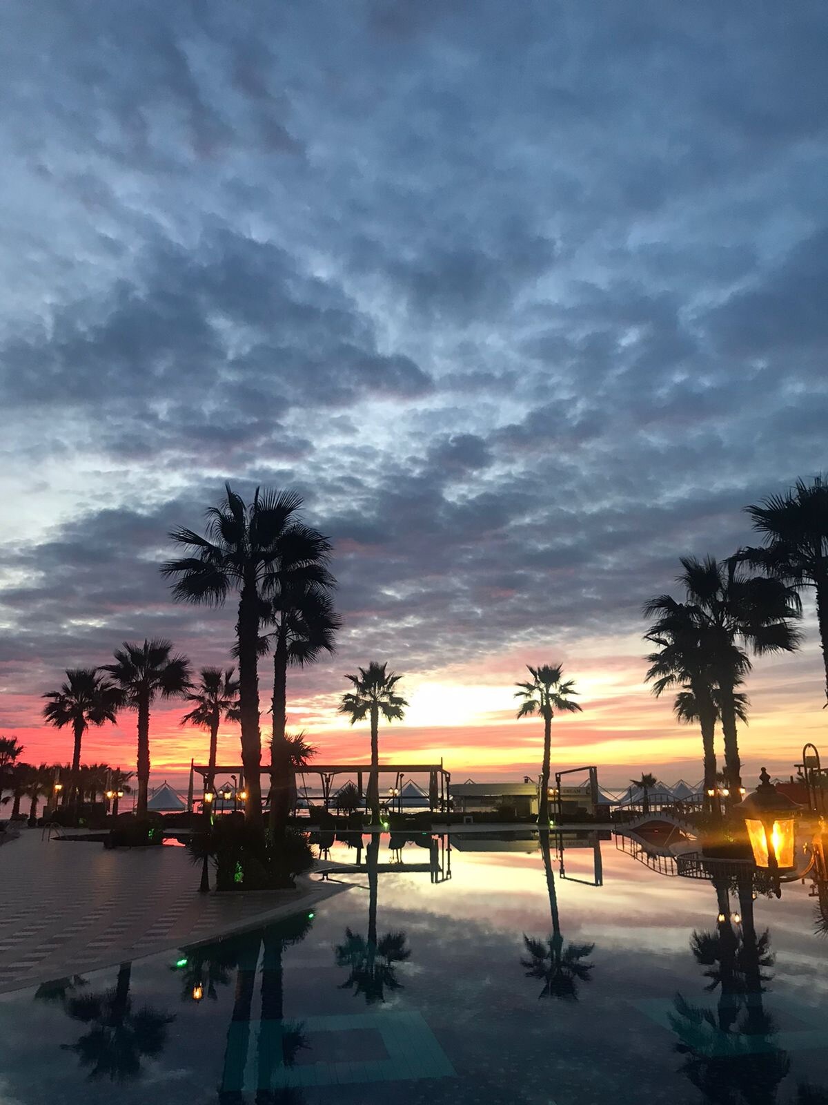 A serene sunset reflects in a calm pool, surrounded by tall palm trees. The sky is painted with shades of pink and purple, creating a tranquil atmosphere. Lounge chairs are visible along the poolside, enhancing the inviting setting.