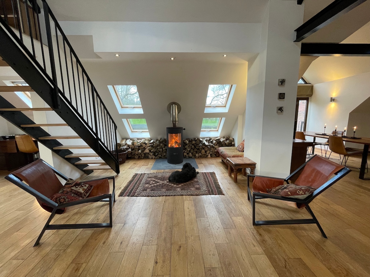 An open living area features two modern leather chairs positioned on a patterned rug, with a contemporary wood stove attracting attention. Large Velux windows allow natural light to brighten the space while showcasing views of the surrounding landscape.