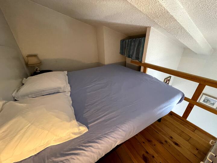 Стая „Мецанин“ 