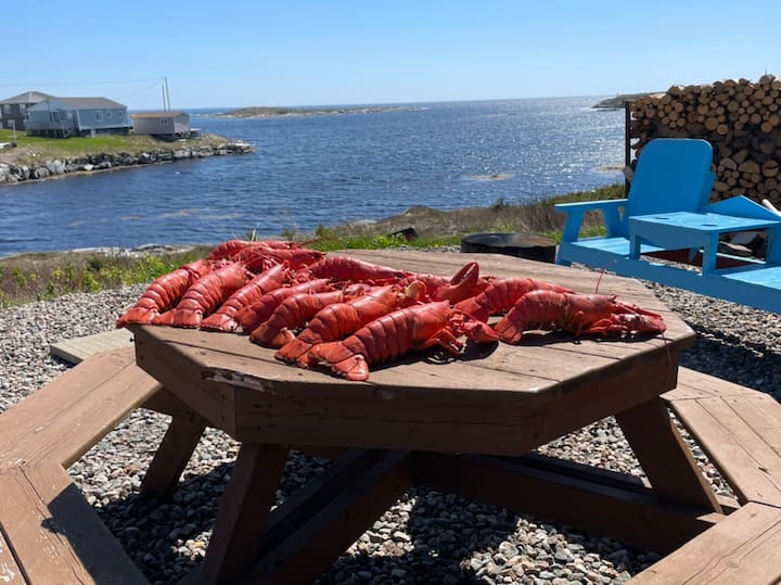 ChannelPort aux Basques 휴가 숙소 & 숙박시설 뉴파운드랜드 및 래브라도, 캐나다 에어비앤비