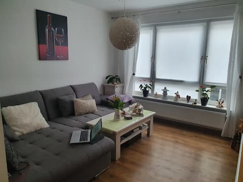 Cozy 2 rooms. Apartment-very central in Mainz.
