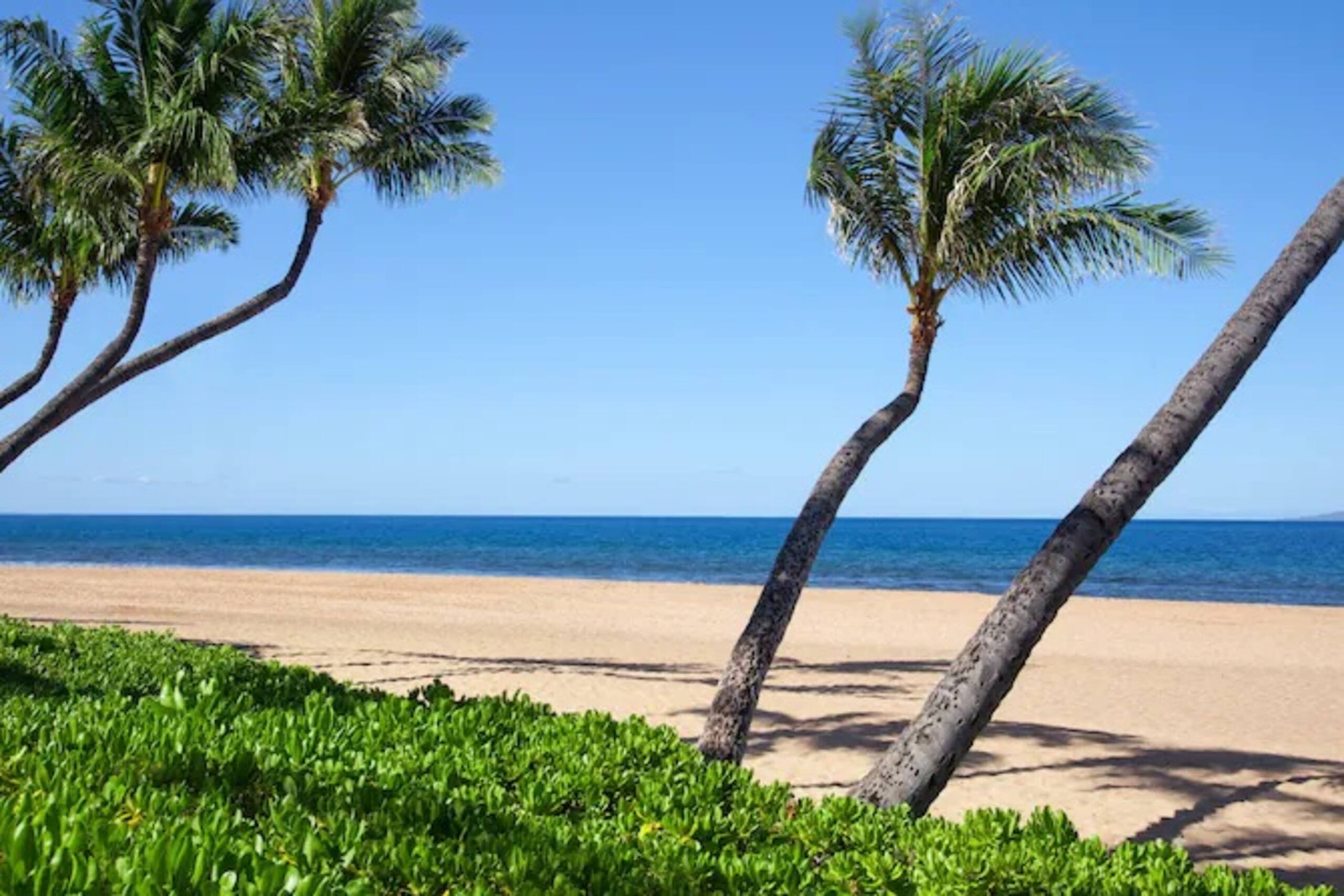 Condo in Lahaina · ★5.0 · 2 bedrooms · 4 beds · 2 private baths - Image 33