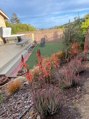 Stunning 4 bedr. house & pool in San Carlos Hills gallery image 2