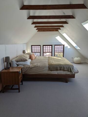 Historic Victorian Home in Heart of SF