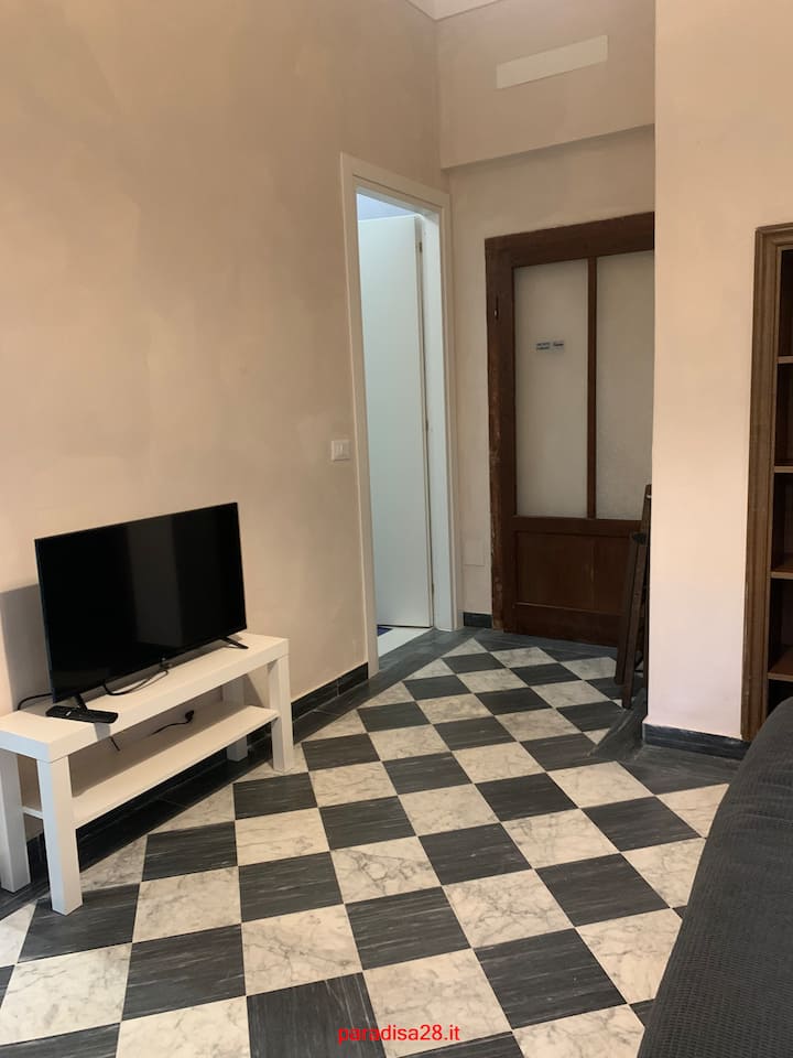 Ანტიკამერა