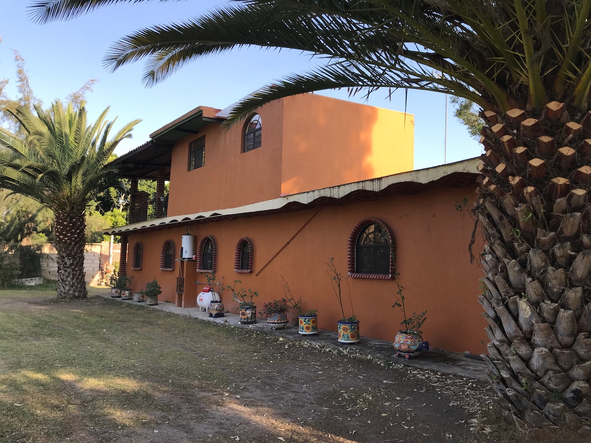 A vibrant orange exterior of the house is framed by large palm trees. The building features multiple windows with decorative grilles, and potted plants line the base, adding a touch of greenery. The structure maintains a welcoming appearance amidst the spacious lawn.