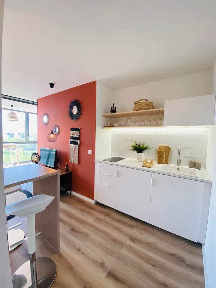 Lille superb apartment, exceptional location! Apartments for Rent in