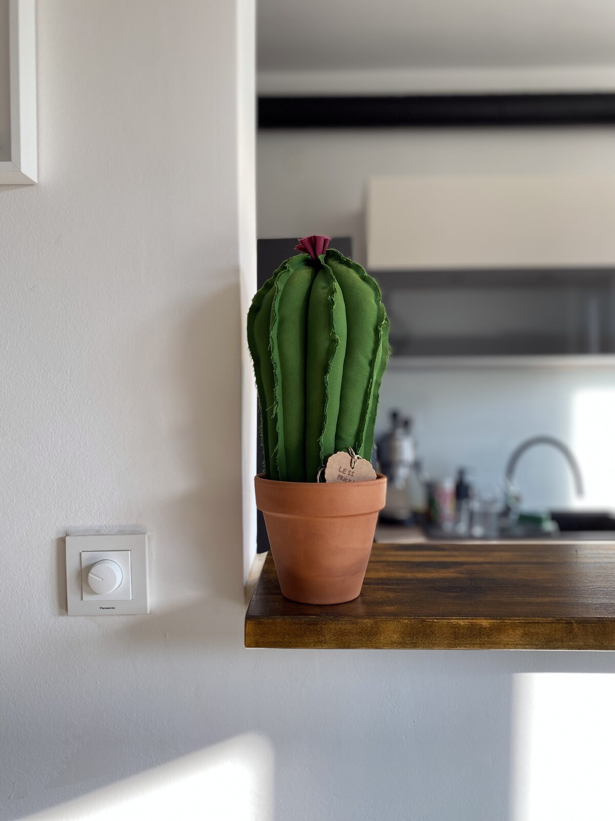 A green, plush cactus is presented in a terracotta pot, positioned on a wooden countertop. The minimalist background reveals a modern kitchen area, with soft light enhancing the cactus's texture.