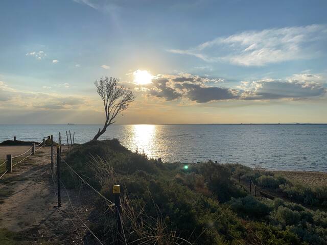 Luxurious 4 Bedroom Apartment on Brighton Beach gallery image 2