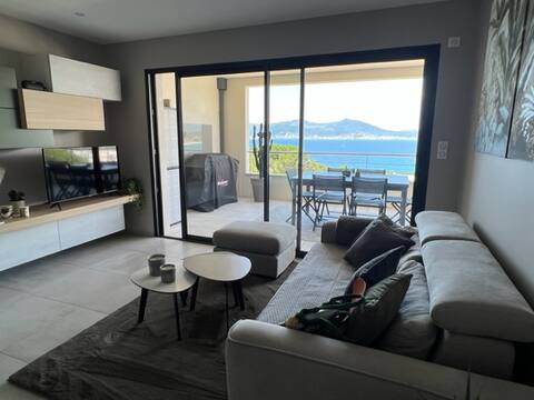 Popular Airbnb listing: 44 m2 apartment with 22 m2 of terrace facing the sea in Pietrosella