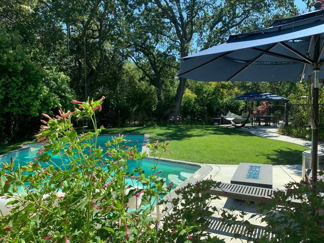 Los Gatos Villa: hot tub, sauna, pool, huge yard gallery image 5