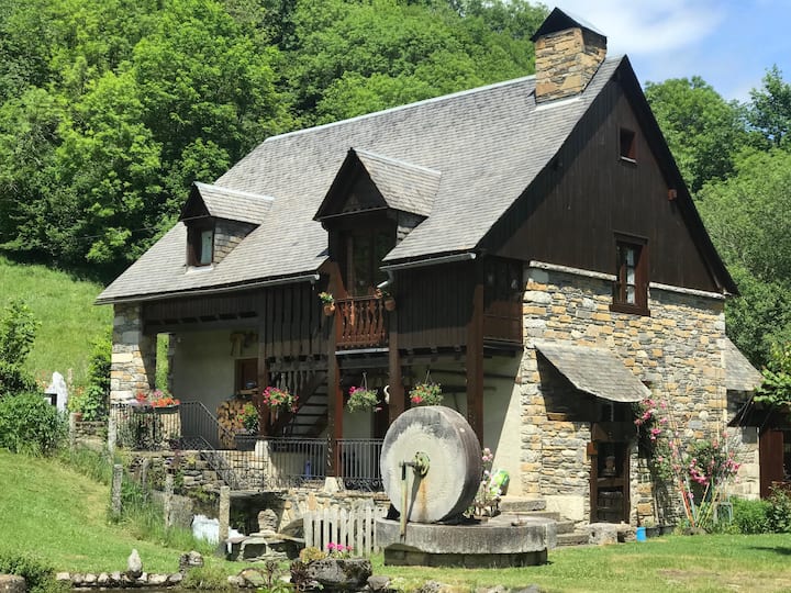 Unusual apartment on an old water mill