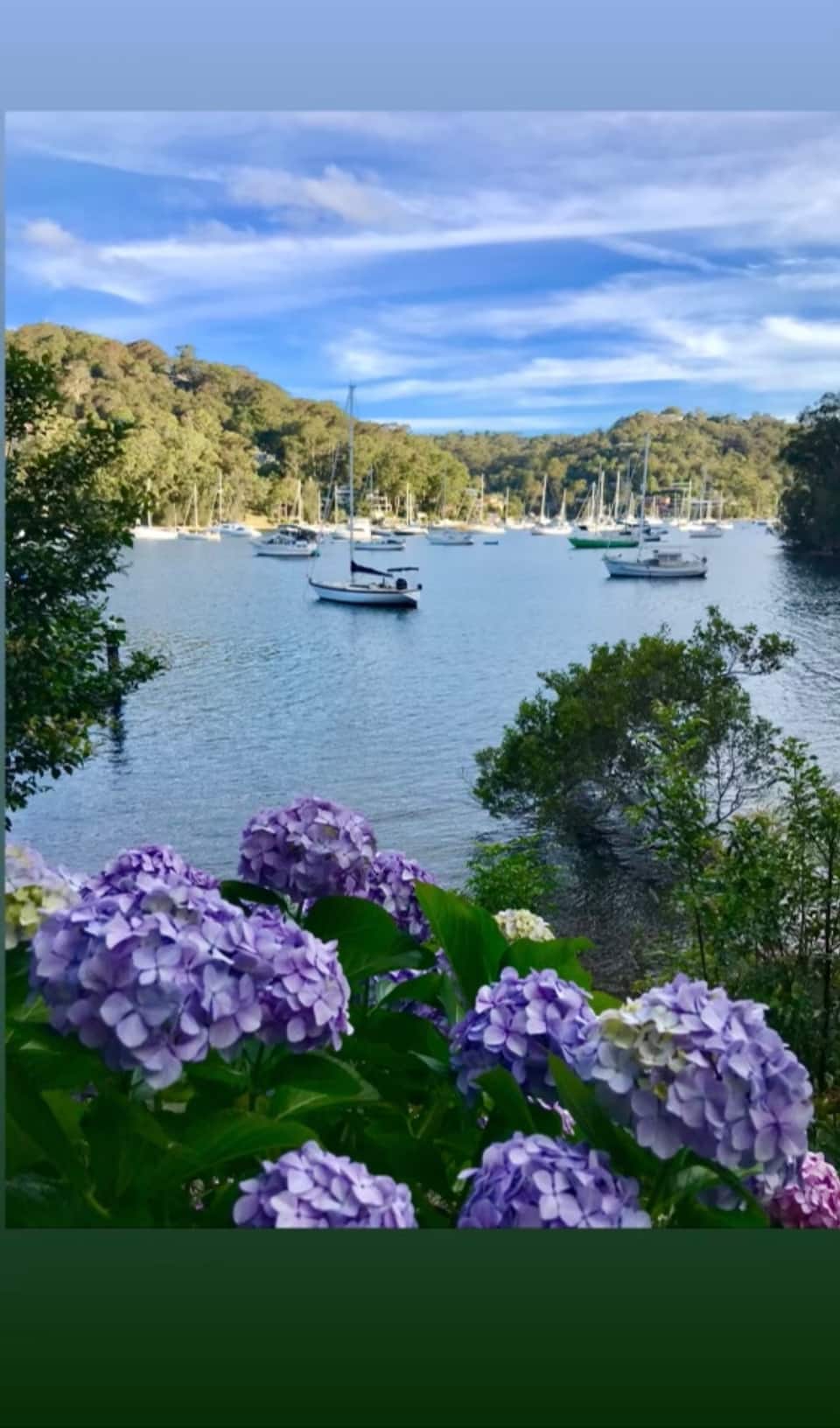 La Cascada, a hideaway on Pittwater, McCarrs Creek, New South Wales, Australia, photo 5 of 10