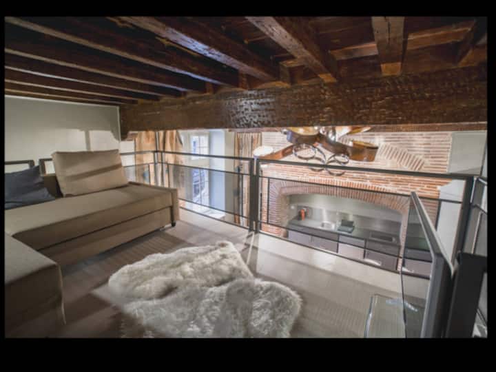 Duplex Climatisé Dans Un Monument Historique - 圖盧茲