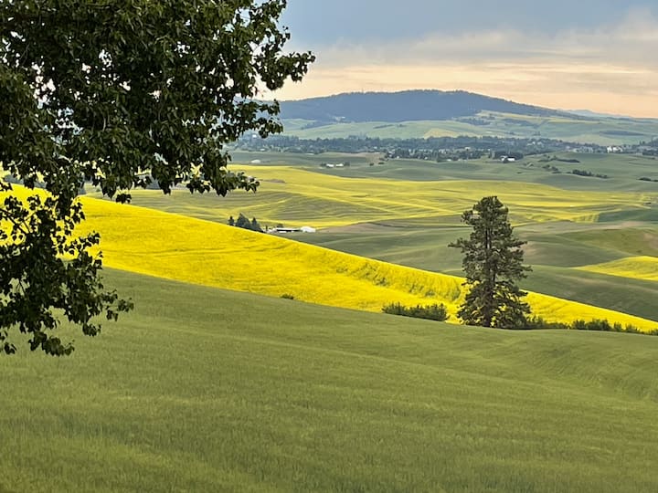 Palouse Hotel Rooms Cabin and Hotel Rentals Airbnb