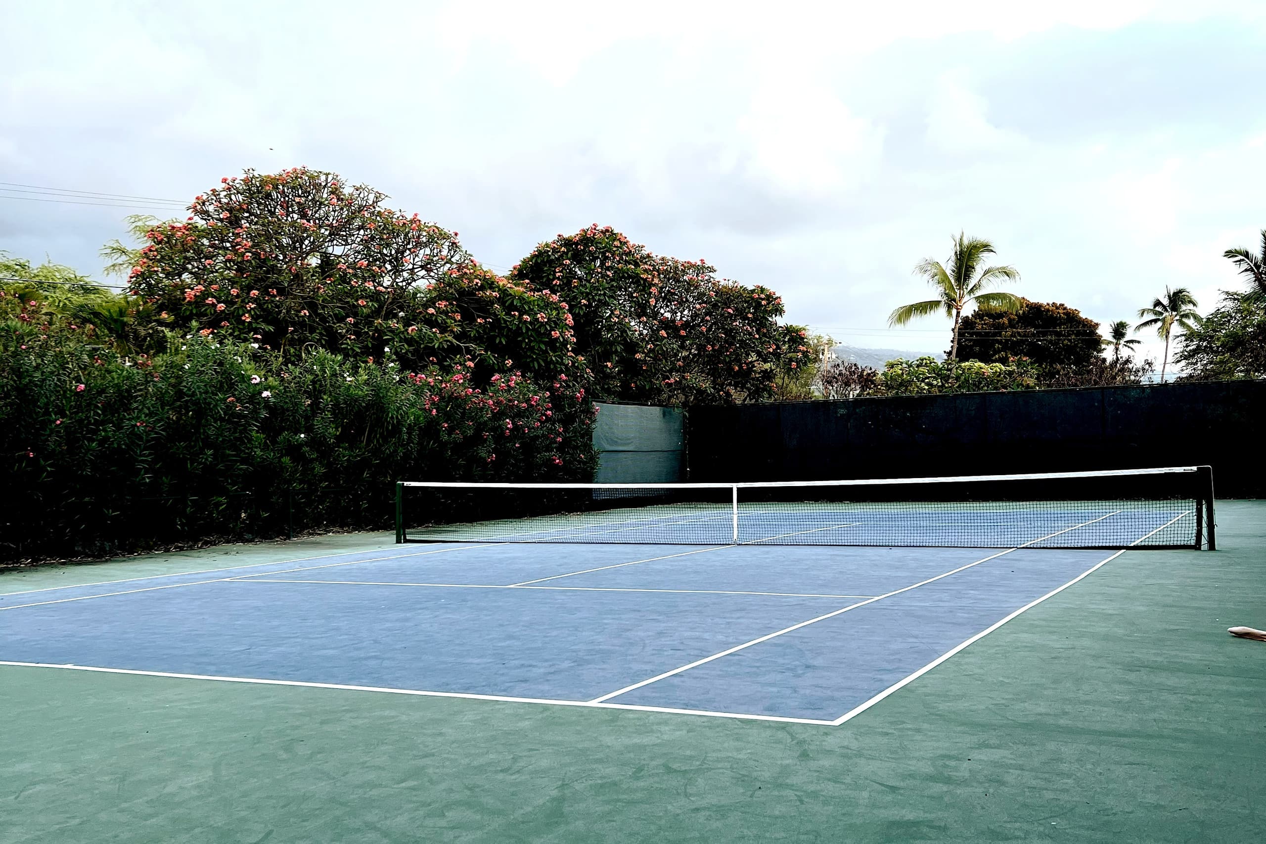 Villa in Kailua-Kona · ★4.94 · 3 bedrooms · 4 beds · 2 baths - Image 33