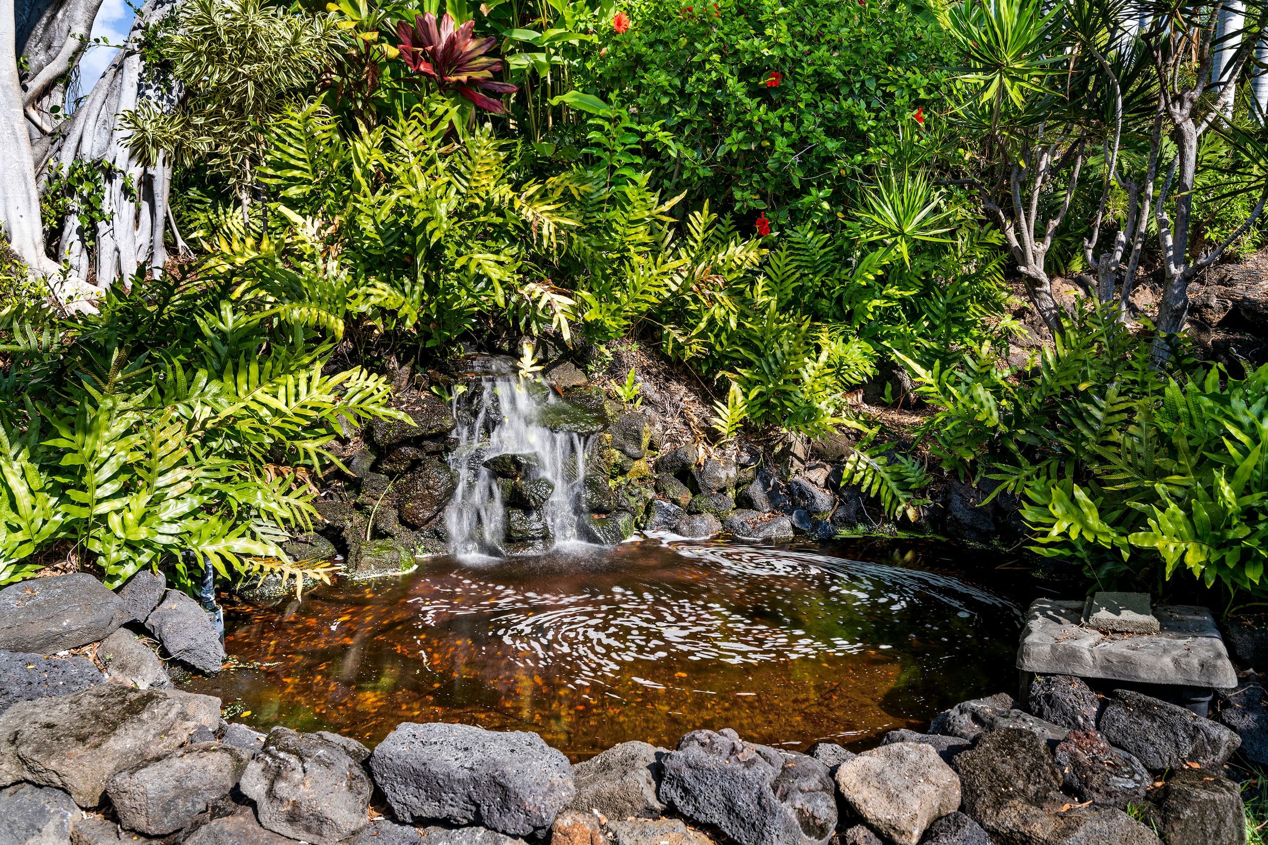 Villa in Kailua-Kona · ★4.94 · 3 bedrooms · 4 beds · 2 baths - Image 36