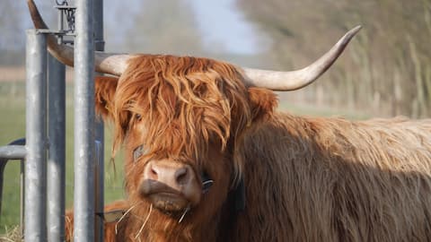 Child-friendly rest farm for all generations!