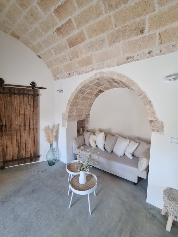 Зона за почивка с разтегателен диван. 