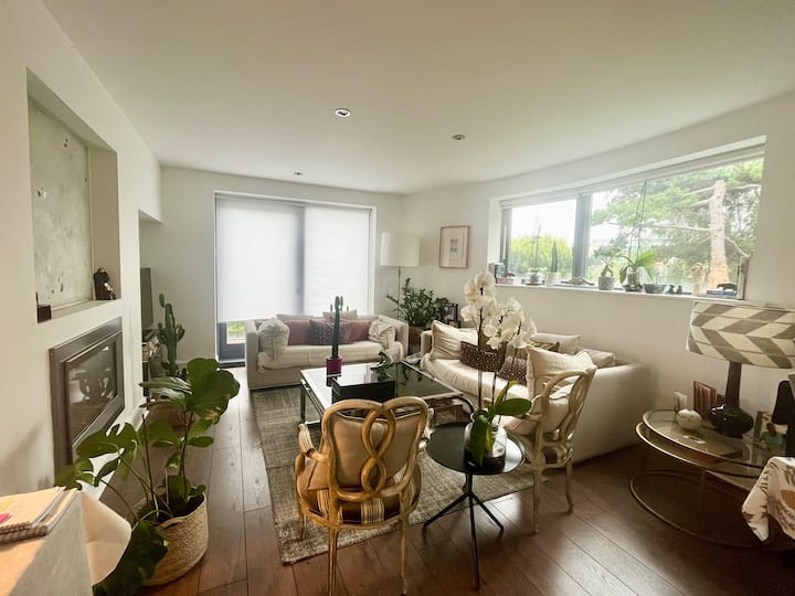 Private Deluxe Room & Bathroom in Ballsbridge Apartments for Rent in